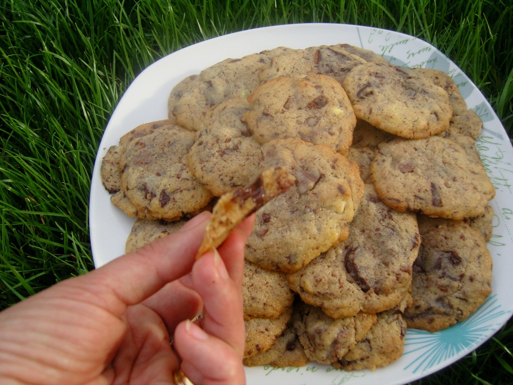 Cookies au pain azyme de Martha Stewart - Do You Cake?