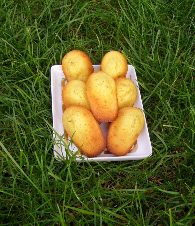 Madeleines au chocolat blanc poivre gingembre sur herbe