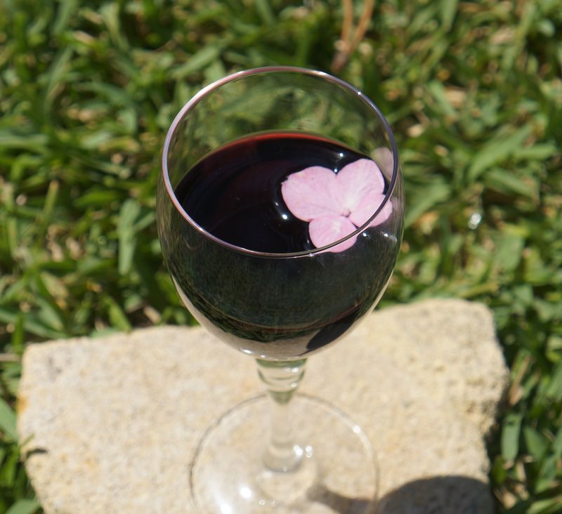 Vin Rouge Violette