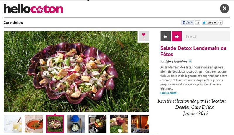 Hellocoton Salade Detox