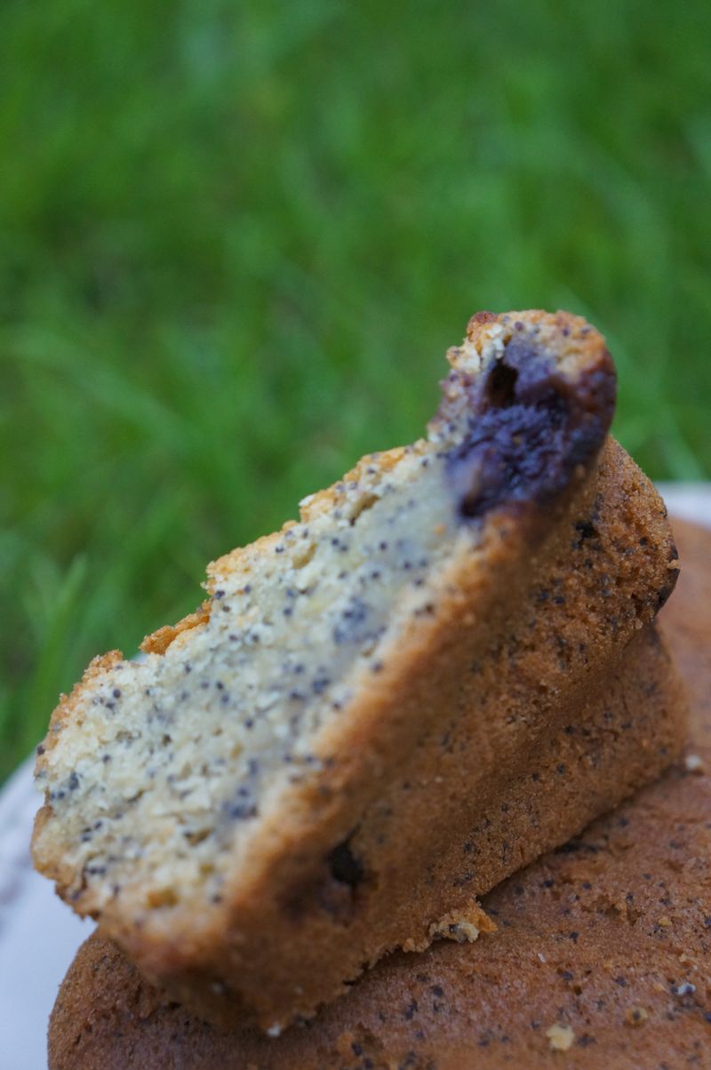 Blueberry Cake Gâteau aux myrtilles