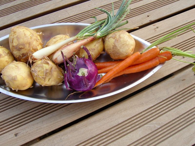 Légumes Primeurs chou rave violet carottes échalottes nouvelles Légumes Primeurs chou rave violet carottes échalottes nouvelles