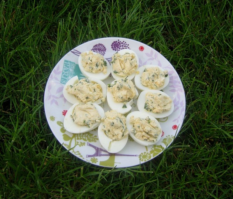 Oeufs au Chèvre Frais