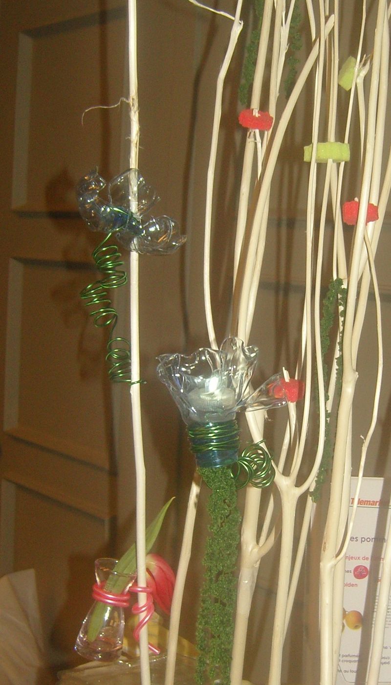 Paris des chefs papilles et papillons fleur Paris des chefs papilles et papillons fleur