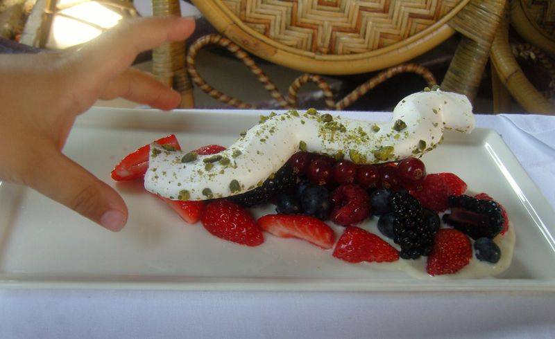 Les étangs de Corot fruits rouges