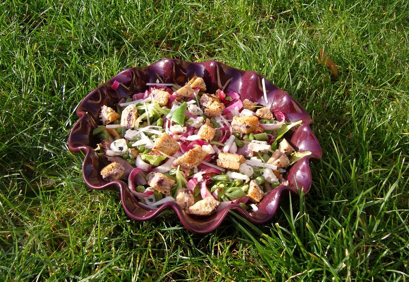 Salade Detox Lendemain de Fêtes
