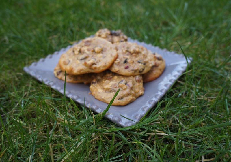 Cookies  Raisins Cranberries Myrtilles Framboises Flocons d'Avoine sans matière grasse