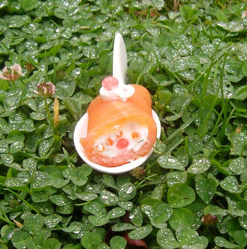 Rouleaux de saumon au pamplemousse