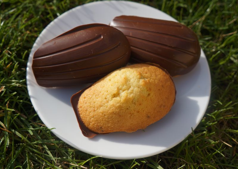 Madeleines en coque de chocolat