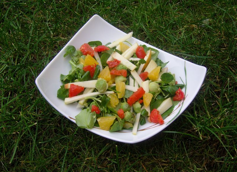 Salade Vitamine Coeur de Tartine