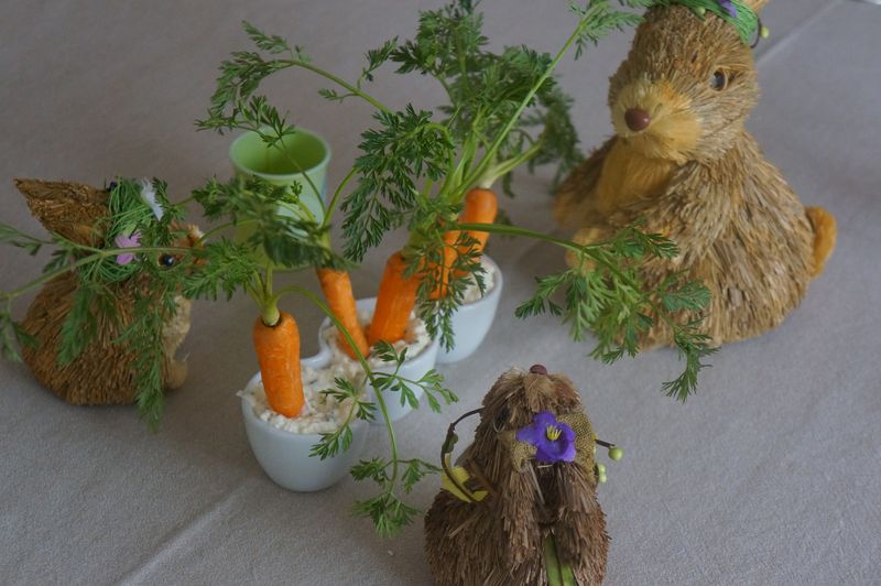 Carottes sur lit de Cottage Cheese ou Décoration Table de Pâques