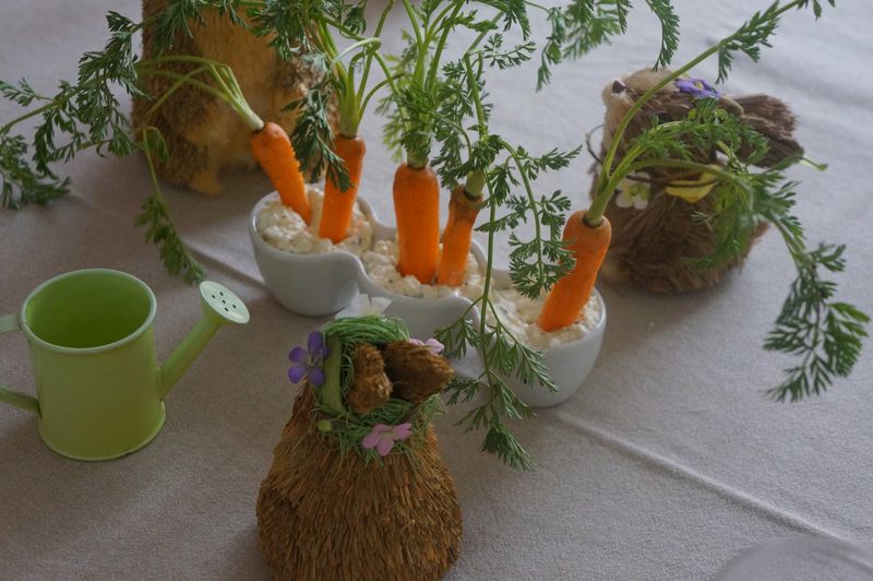 Carottes sur lit de Cottage Cheese ou Décoration Table de Pâques V2