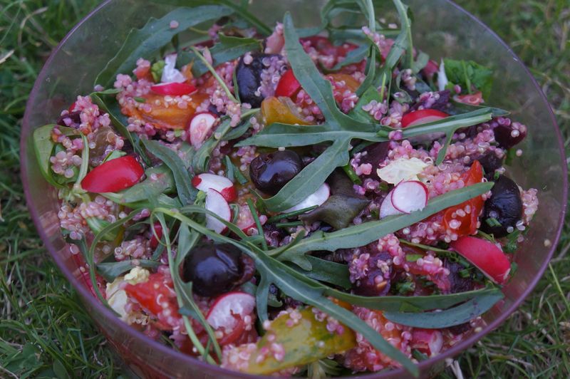 Salade de Quinoa Sucrée Salée