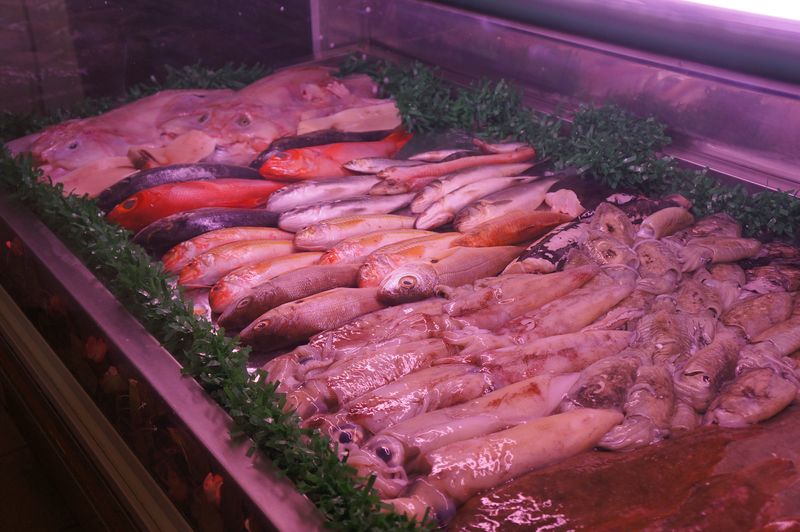 Dom Ricardo Etal de poissons Dom Ricardo Etal de poissons