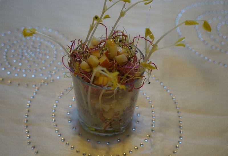 Salade sucrée salée aux graines germées