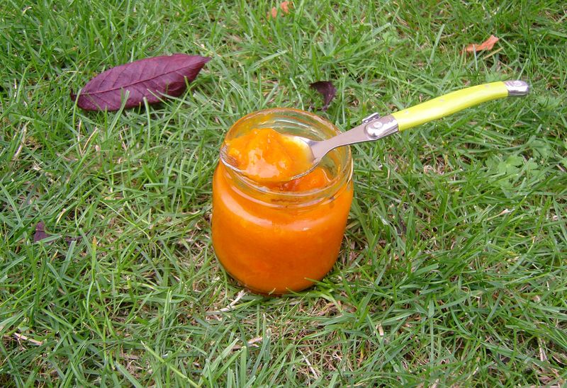 Confiture d'Abricots Ultra Légère