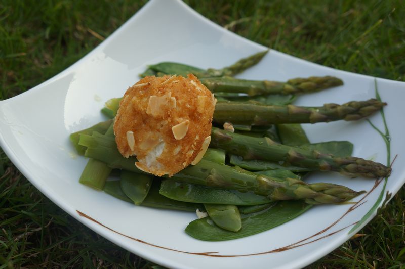 Chèvre en habit Doré sur un Lit d'Asperges et Pois Gourmand