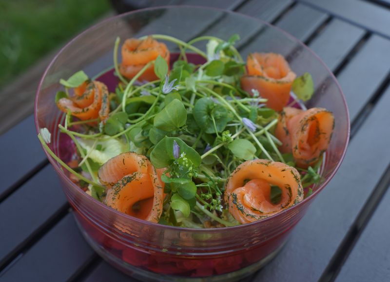 Salade de Pourpier, Ciboulette et Eminçé de Saumon à l'Aneth