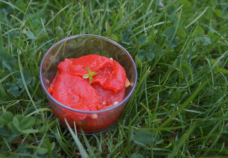 Tomates Confites Rouges