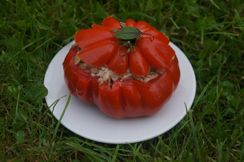 Tomates farcies charcutières