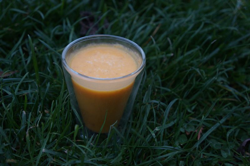 Art de Vivre Soupe Potimarron Coco